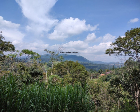 Imagem Chácara com 3 Quartos à Venda, 8.000 m² em Terra Preta (terra Preta) - Mairiporã Imagem Chácara com 3 Quartos à Venda, 8.000 m² em Terra Preta (terra Preta) - Mairiporã