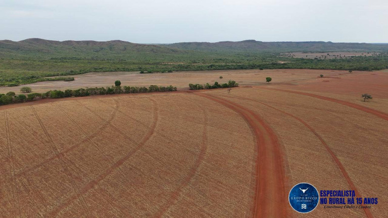 Imagem Fazenda à Venda, 555 m² em Zona Rural - Barra Do Garças Imagem Fazenda à Venda, 555 m² em Zona Rural - Barra Do Garças