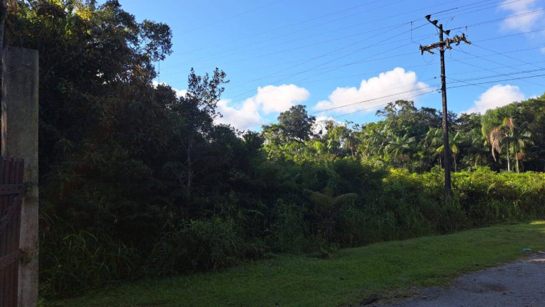 Imagem Chácara à Venda, 8 m² em Graraguaçu - Paranaguá