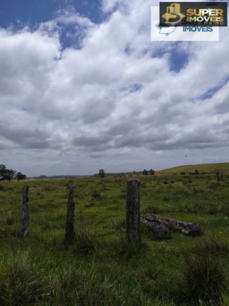Imagem Imóvel com 2 Quartos à Venda, 60.000 m² em Quinta - Rio Grande