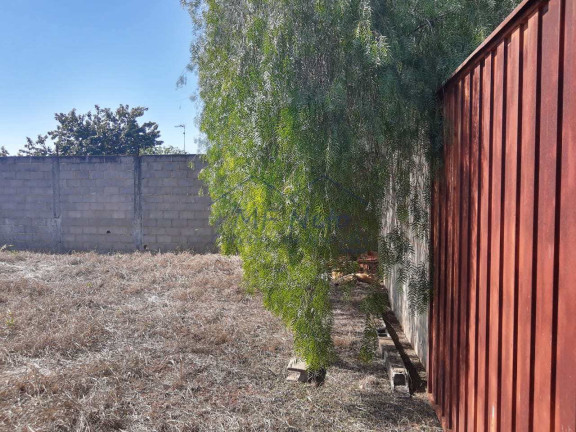 Imagem Terreno à Venda, 650 m² em Vila São Guido - Pirassununga