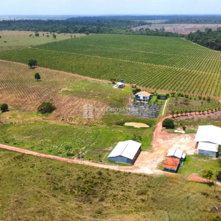Imagem Imóvel com 3 Quartos à Venda, 9.600.000 m² em Centro - Tomé-açú Imagem Imóvel com 3 Quartos à Venda, 9.600.000 m² em Centro - Tomé-açú