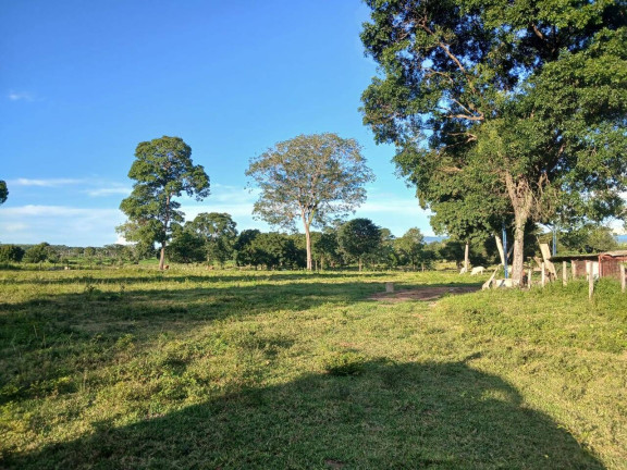 Imagem Chácara à Venda, 35 m² em Arapongas Imagem Chácara à Venda, 35 m² em Arapongas