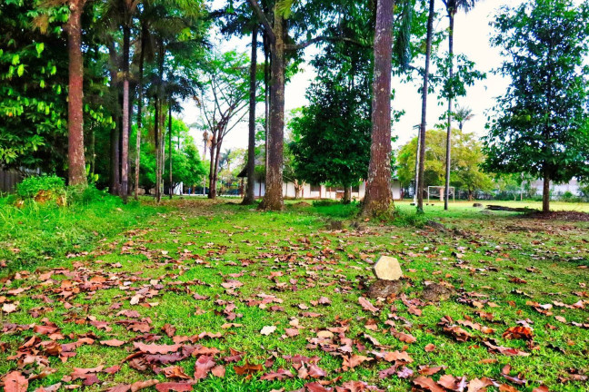 Imagem Terreno à Venda, 48 m² em Flores - Manaus