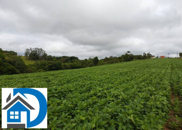 Imagem Chácara com 2 Quartos à Venda, 7 m² em Rural - Itapetininga Imagem Chácara com 2 Quartos à Venda, 7 m² em Rural - Itapetininga