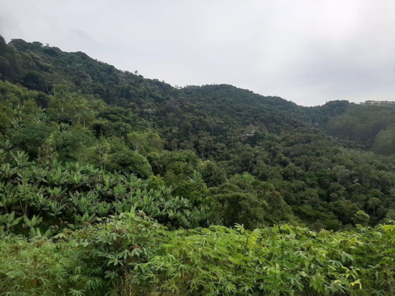 Imagem Chácara com 3 Quartos à Venda, 250 m² em Pouso Alto - Natividade Da Serra Imagem Chácara com 3 Quartos à Venda, 250 m² em Pouso Alto - Natividade Da Serra