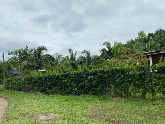 Imagem Chácara com 2 Quartos à Venda, 200 m² em Laranja Azeda - Itariri Imagem Chácara com 2 Quartos à Venda, 200 m² em Laranja Azeda - Itariri