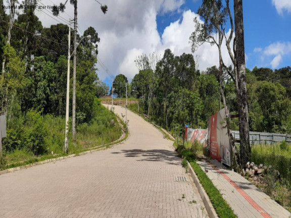 Imagem Terreno à Venda, 364 m² em Linha Imperial - Nova Petrópolis Imagem Terreno à Venda, 364 m² em Linha Imperial - Nova Petrópolis