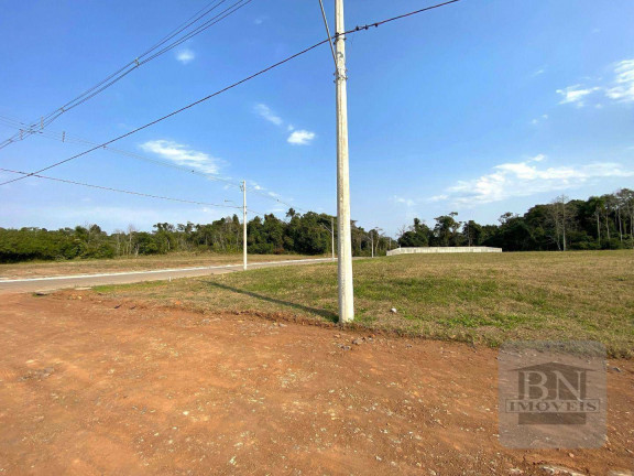 Imagem Terreno à Venda, 450 m² em Linha Santa Cruz - Santa Cruz Do Sul Imagem Terreno à Venda, 450 m² em Linha Santa Cruz - Santa Cruz Do Sul