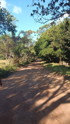 Imagem Chácara à Venda, 2 m² em Tibina - Uruçuca Imagem Chácara à Venda, 2 m² em Tibina - Uruçuca