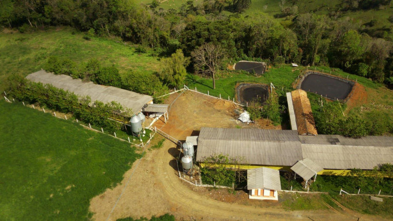 Imagem Imóvel à Venda, 133.000 m² em Rural - Concórdia Imagem Imóvel à Venda, 133.000 m² em Rural - Concórdia