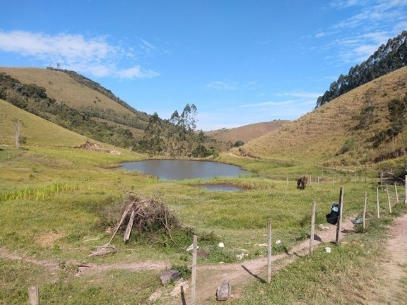 Imagem Fazenda à Venda, 90 m² em Centro - São Luíz Do Paraitinga