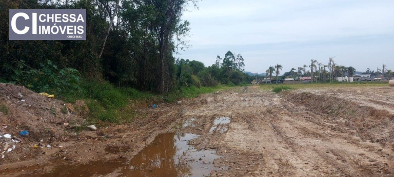Terreno à Venda, 36.151 m² em Rio Furado - Balneário Piçarras