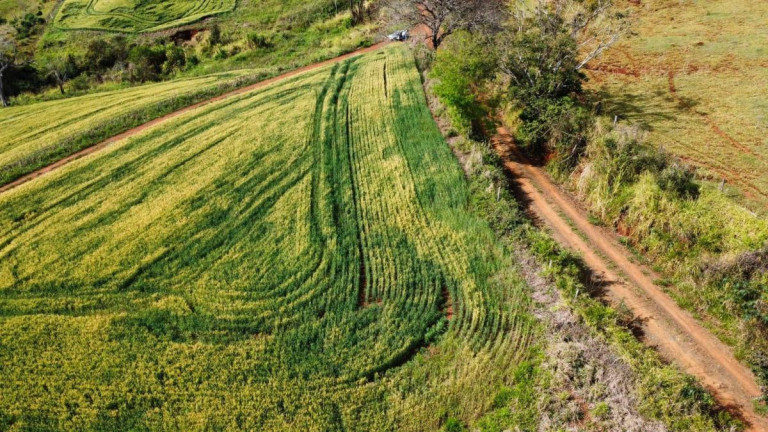 Imagem Terreno à Venda, 2.600 m² em Tomazina - Tomazina