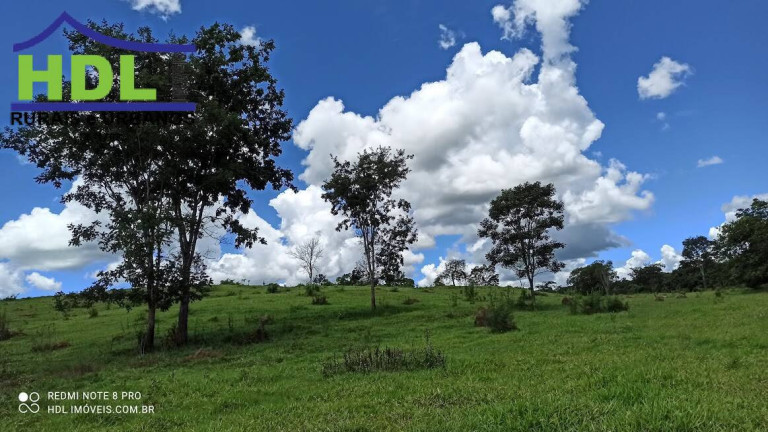 Imagem Fazenda à Venda, 21 m² em Zona Rural - Hidrolândia Imagem Fazenda à Venda, 21 m² em Zona Rural - Hidrolândia