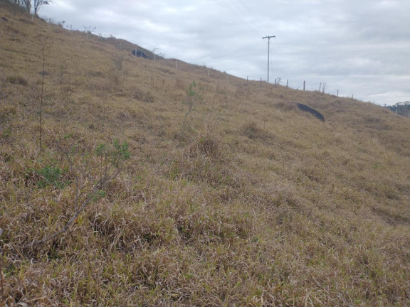 Imagem Chácara à Venda, 20.000 m² em Rio Pardo - Caldas Imagem Chácara à Venda, 20.000 m² em Rio Pardo - Caldas