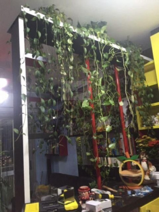 Imagem Apartamento com 1 Quarto à Venda, 33 m² em Santo Amaro - São Paulo Imagem Apartamento com 1 Quarto à Venda, 33 m² em Santo Amaro - São Paulo