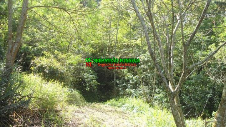 Imagem Chácara à Venda, 72.600 m² em São Francisco Xavier - São José Dos Campos Imagem Chácara à Venda, 72.600 m² em São Francisco Xavier - São José Dos Campos