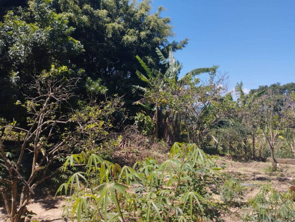 Imagem Chácara com 3 Quartos à Venda, 1 m² em Jardim Cananéia - Pilar Do Sul Imagem Chácara com 3 Quartos à Venda, 1 m² em Jardim Cananéia - Pilar Do Sul