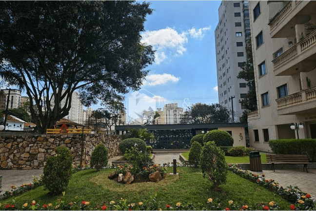 Imagem Imóvel com 3 Quartos à Venda, 192 m² em Saúde - São Paulo Imagem Imóvel com 3 Quartos à Venda, 192 m² em Saúde - São Paulo