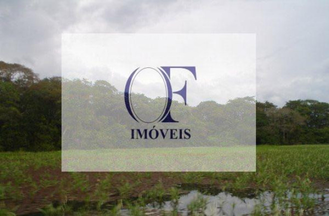Fazenda à Venda, 24.000 m² em Pantanal - Corumbá