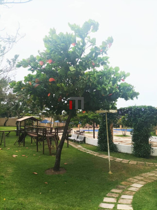 Imagem Terreno em Condomínio à Venda, 263 m² em Ferreiro Torto - Macaíba