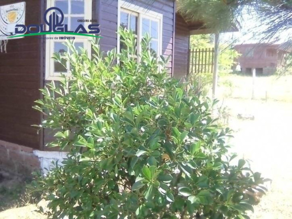 Imagem Casa com 3 Quartos à Venda, 600 m² em águas Claras - Viamão Imagem Casa com 3 Quartos à Venda, 600 m² em águas Claras - Viamão