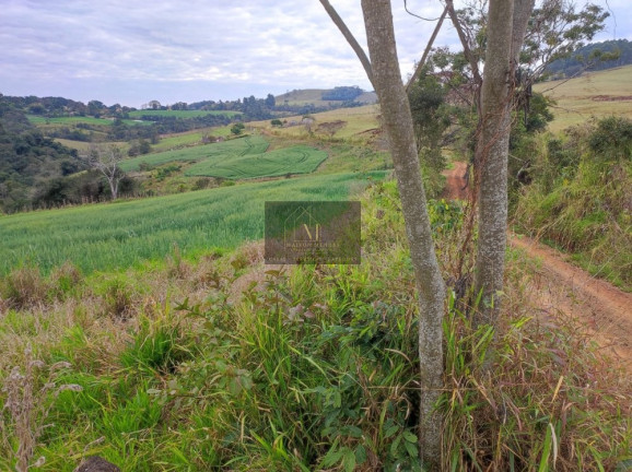 Imagem Terreno à Venda, 2.600 m² em Tomazina - Tomazina