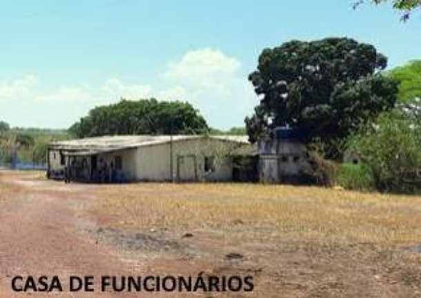Imagem Fazenda à Venda, 1.357 m² em Jangada Imagem Fazenda à Venda, 1.357 m² em Jangada