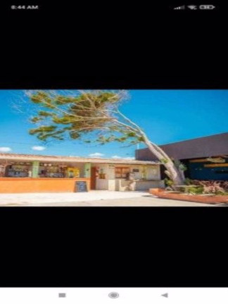 Imagem Ponto Comercial à Venda, 4.000 m² em Praia Da Barra - Alcobaça Imagem Ponto Comercial à Venda, 4.000 m² em Praia Da Barra - Alcobaça