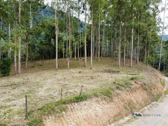 Imagem Fazenda à Venda, 87.500 m² em Centro - Witmarsum