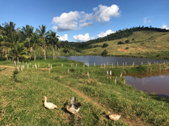 Imagem Imóvel à Venda, em área Rural - Ipiaú Imagem Imóvel à Venda, em área Rural - Ipiaú