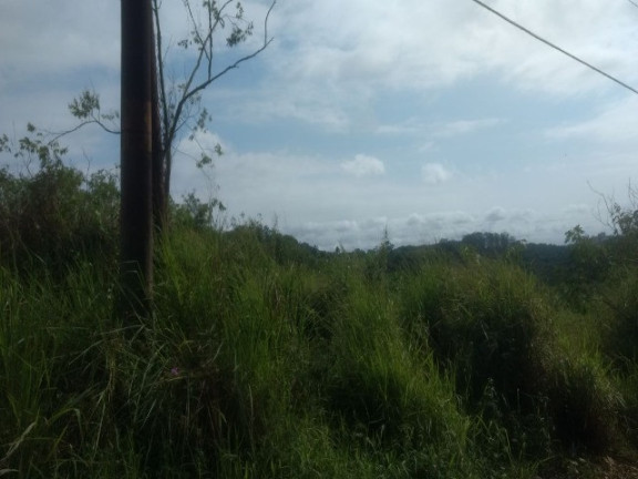 Imagem Terreno à Venda, 55.000 m² em Colônia (zona Leste) - São Paulo