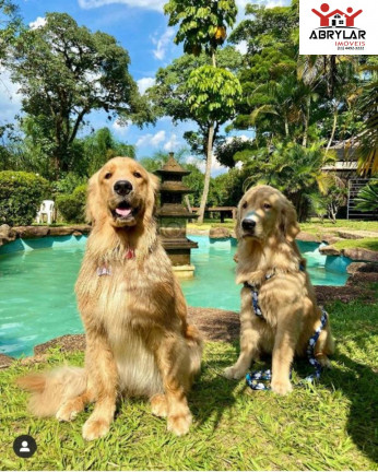 Imagem Imóvel com 3 Quartos à Venda, em Guacuri - Itupeva Imagem Imóvel com 3 Quartos à Venda, em Guacuri - Itupeva