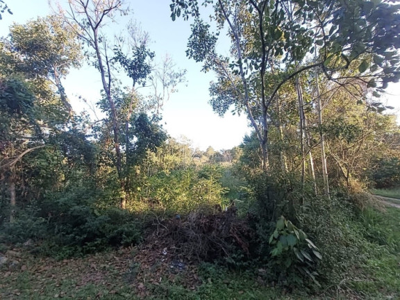 Imagem Terreno à Venda, 3.993 m² em Ratones - Florianópolis