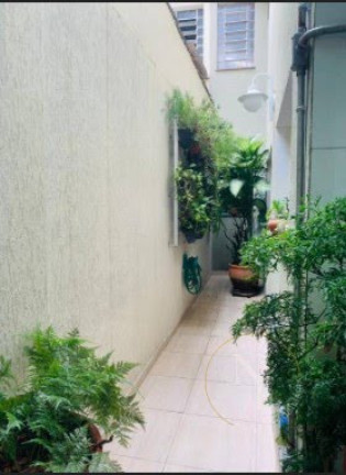Imagem Casa com 3 Quartos à Venda, 149 m² em Vila Gomes Cardim - São Paulo