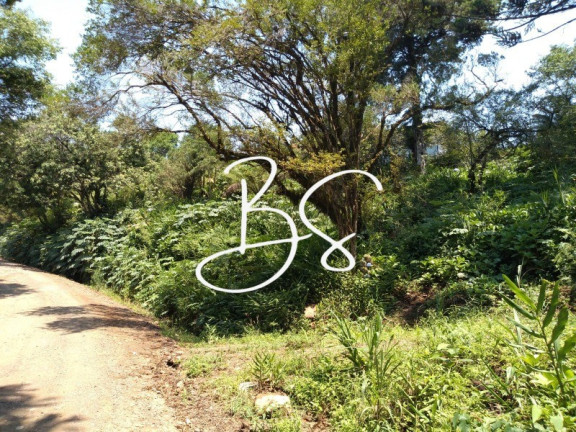 Imagem Imóvel à Venda, 1.000 m² em Serra Grande - Igrejinha Imagem Imóvel à Venda, 1.000 m² em Serra Grande - Igrejinha