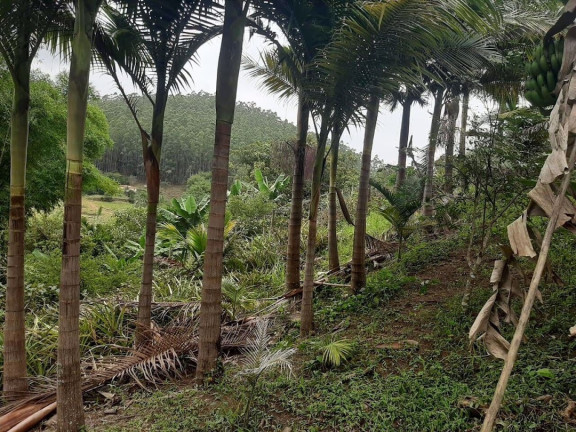 Imagem Chácara com 3 Quartos à Venda, 250 m² em Pouso Alto - Natividade Da Serra Imagem Chácara com 3 Quartos à Venda, 250 m² em Pouso Alto - Natividade Da Serra