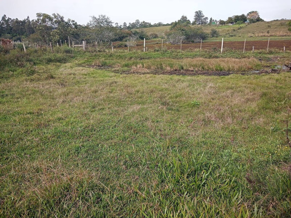 Imagem Chácara à Venda, 10.000 m² em águas Claras - Viamão