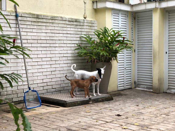 Casa com 3 Quartos à Venda, 283 m² em Aparecida - Santos