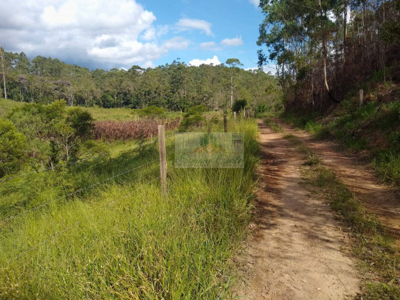 Imagem Chácara à Venda, 19 m² em Pilar Do Sul Imagem Chácara à Venda, 19 m² em Pilar Do Sul