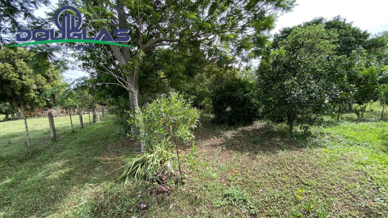 Imagem Chácara com 1 Quarto à Venda,  em águas Claras - Viamão