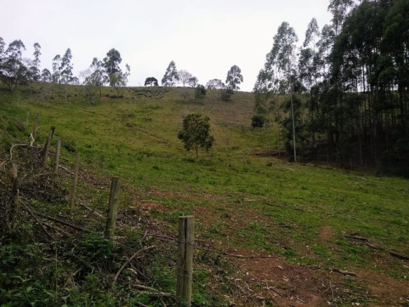 Imagem Fazenda à Venda, 600 m² em Lagoa - Paraibuna