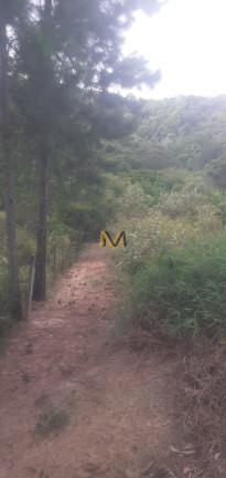 Imagem Terreno à Venda, 7.000 m² em Capoavinha - Mairiporã Imagem Terreno à Venda, 7.000 m² em Capoavinha - Mairiporã