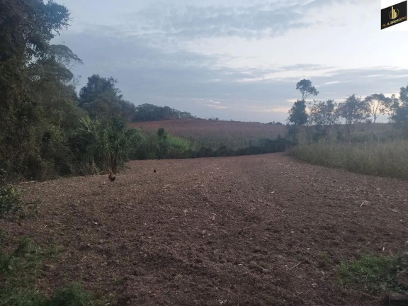 Imagem Imóvel com 3 Quartos à Venda, 48.400 m² em Colônia Murici - São José Dos Pinhais Imagem Imóvel com 3 Quartos à Venda, 48.400 m² em Colônia Murici - São José Dos Pinhais