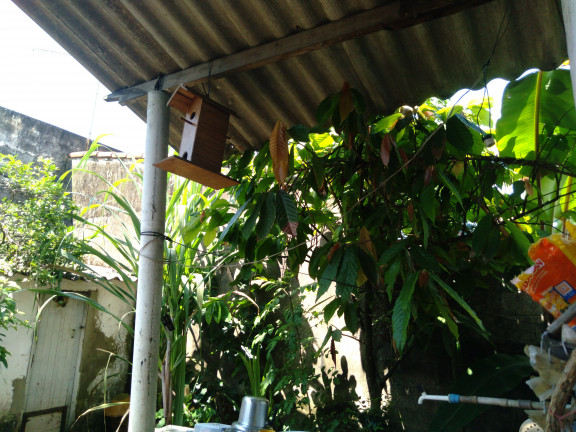 Imagem Imóvel com 3 Quartos à Venda, em Umuarama - Itanhaém Imagem Imóvel com 3 Quartos à Venda, em Umuarama - Itanhaém