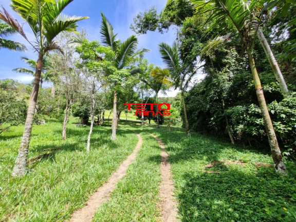Imagem Imóvel com 3 Quartos à Venda,  em Zona Rural - Pouso Alto