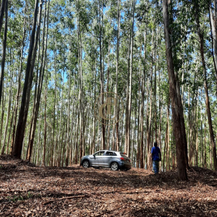 Imagem Fazenda à Venda, 100 m² em Lagoa - Paraibuna