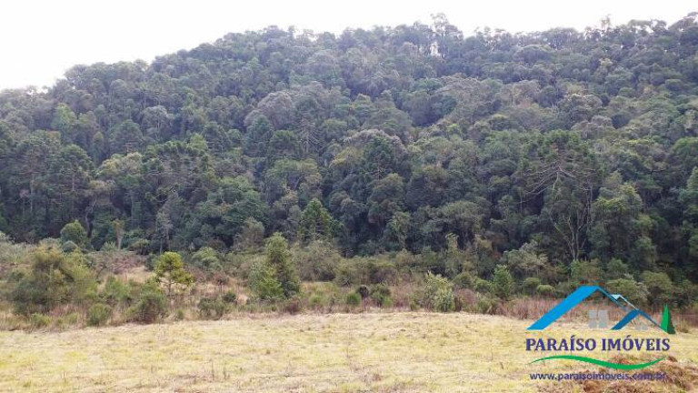 Imagem Terreno à Venda, 38 m² em Centro - Gonçalves Imagem Terreno à Venda, 38 m² em Centro - Gonçalves