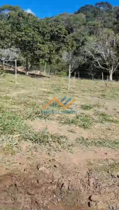 Imagem Imóvel à Venda, 15.000 m² em Zona Rural - Mesquita Imagem Imóvel à Venda, 15.000 m² em Zona Rural - Mesquita